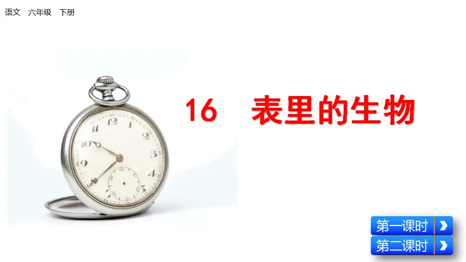 表里的生物（课件1）_01.webp