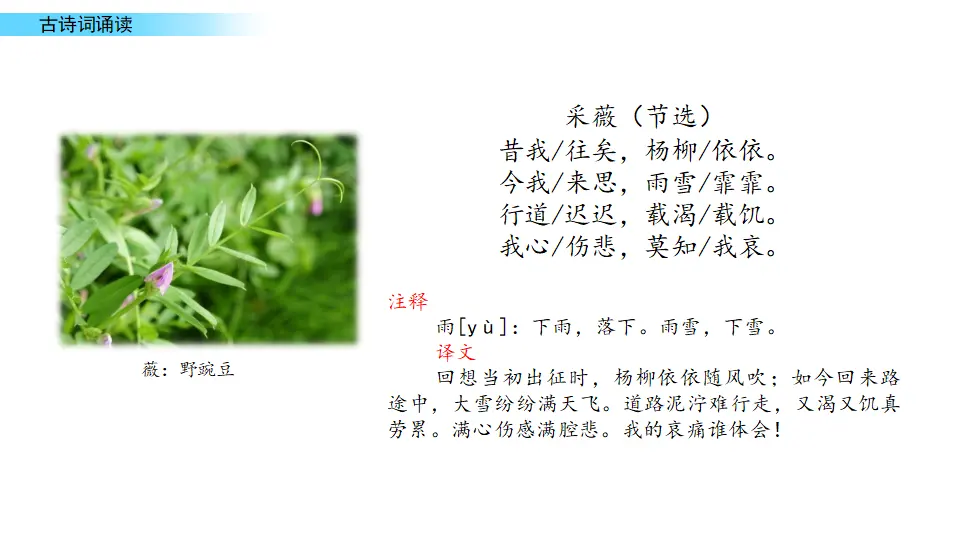 古诗词诵读（课件1）_03.webp