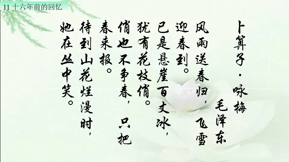 十六年前的回忆（课件1）_01.webp