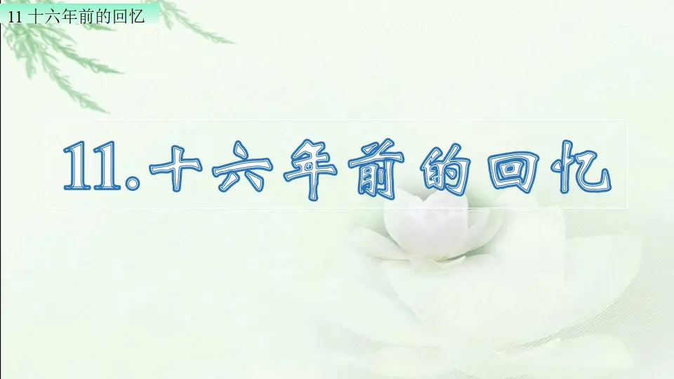 十六年前的回忆（课件1）_03.webp