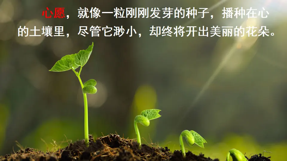 习作：心愿（课件2）_01.webp