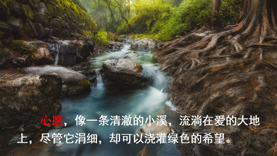 习作：心愿（课件2）_02.webp