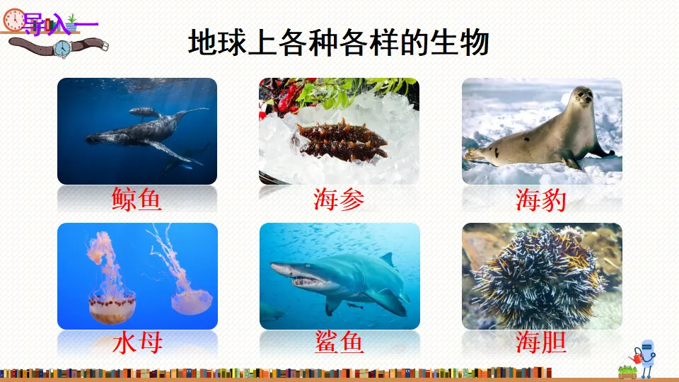 15 表里的生物（课件2）_03.webp