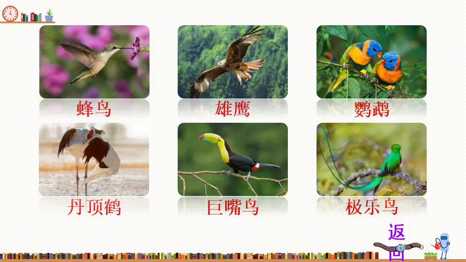 15 表里的生物（课件2）_05.webp