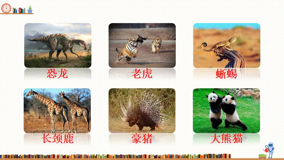 15 表里的生物（课件2）_04.webp