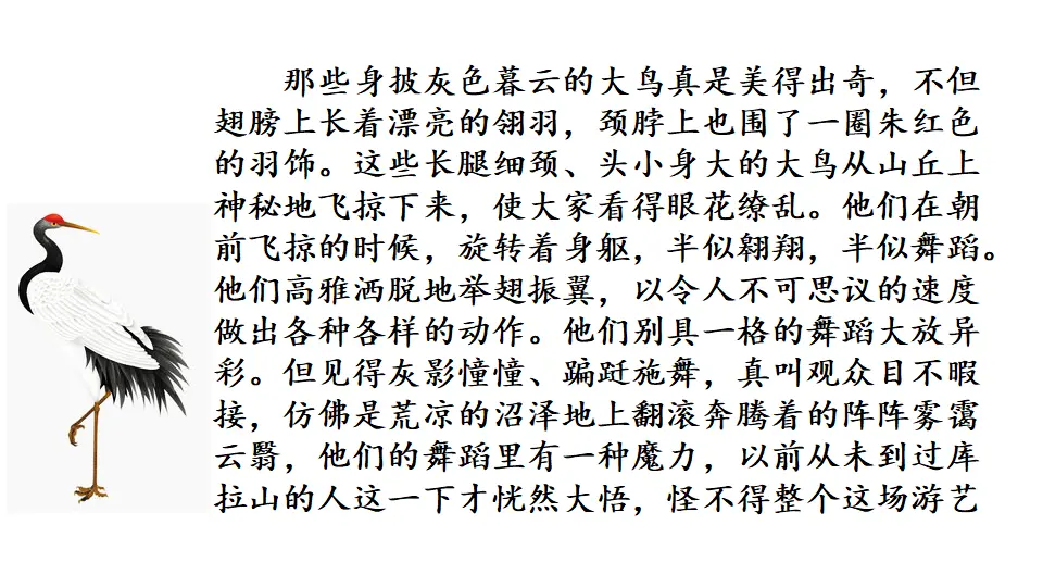 链接1：鹤之舞表演大会片段（课件3）_01.webp