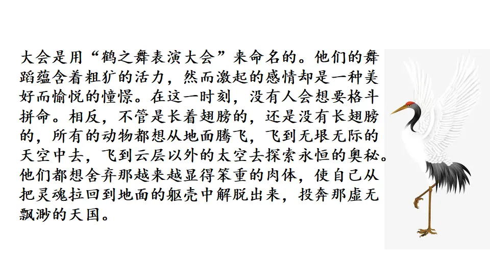 链接1：鹤之舞表演大会片段（课件3）_02.webp