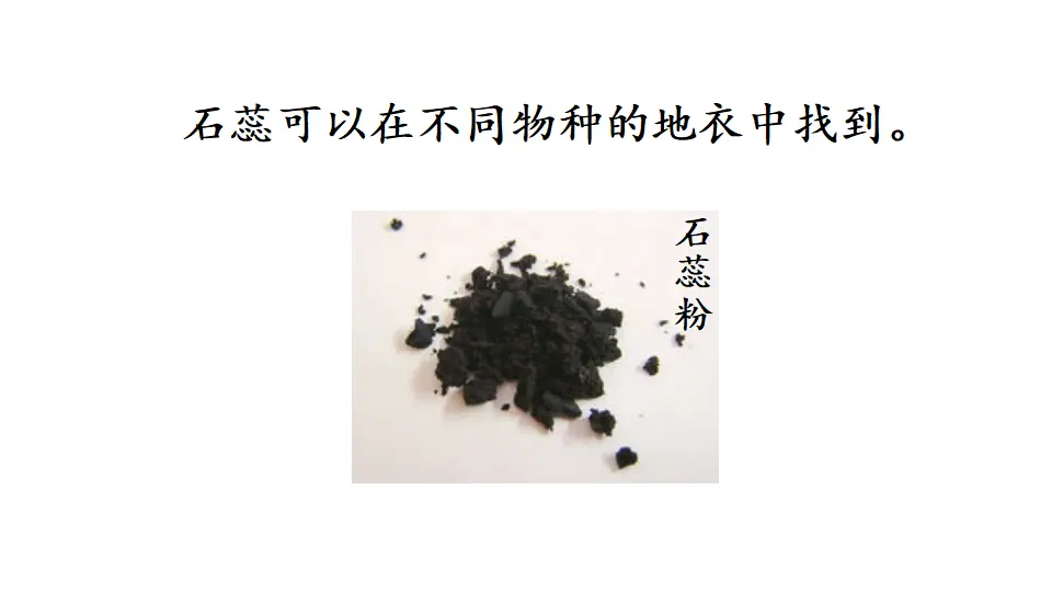 链接1：石蕊试纸（课件3）_02.webp