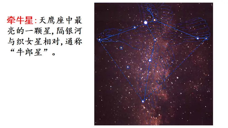 链接1：牵牛星和织女星（课件3）_02.webp