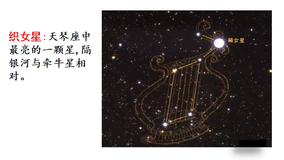 链接1：牵牛星和织女星（课件3）_03.webp