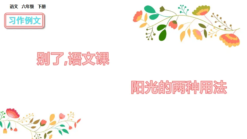 习作例文（课件3）_01.webp