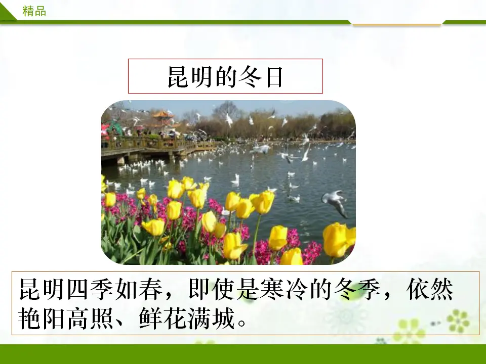 美丽的冬天第二课时（课件1）_04.webp