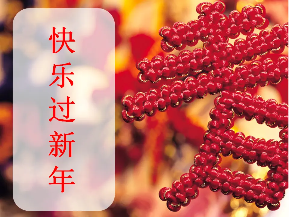 《15 快乐过新年》1（课件2）_01.webp