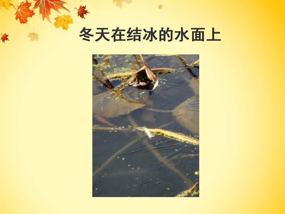 《13 美丽的冬天》（2）.（课件2）_05.webp