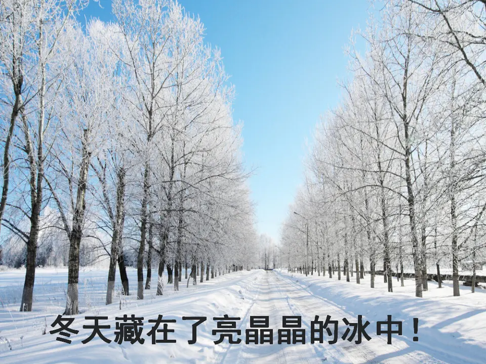 《13 美丽的冬天》（1）.（课件2）_04.webp