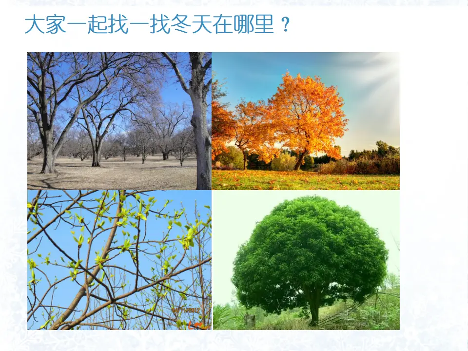 13 美丽的冬天（牛老师）_05.webp