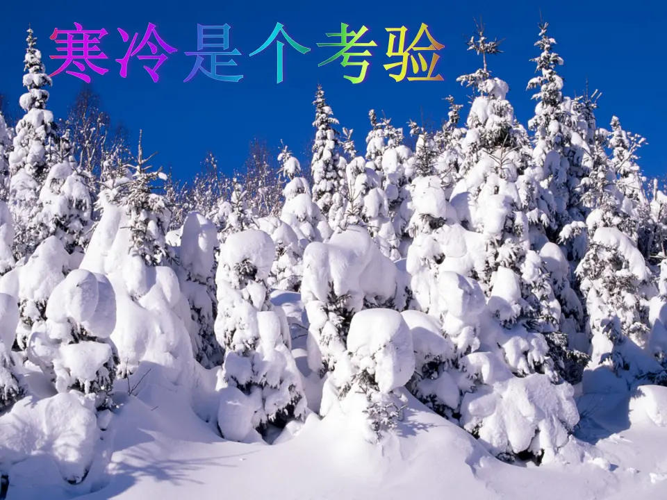 14 健康过冬天（高老师）_03.webp