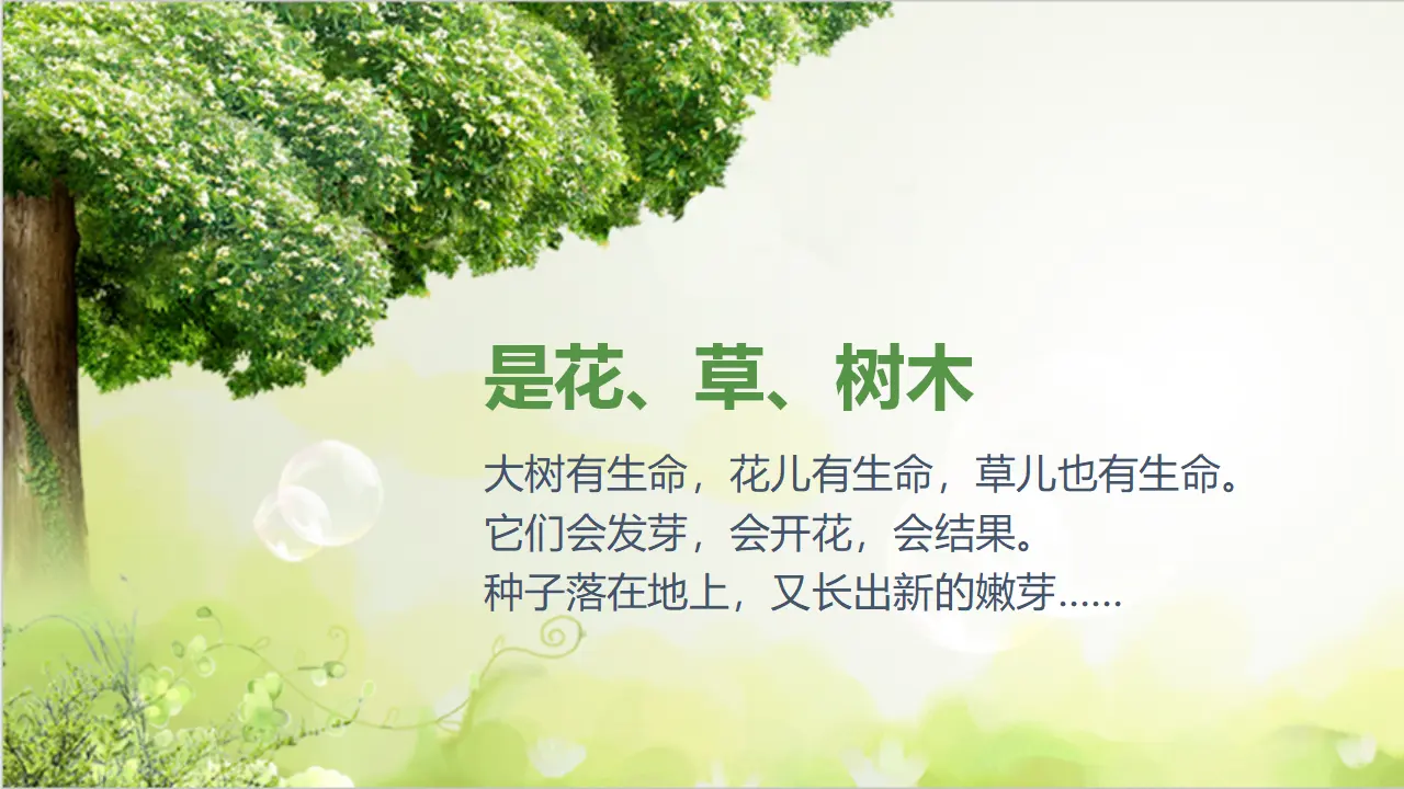 6花儿草儿真美丽  第一课时（课件1）_05.webp