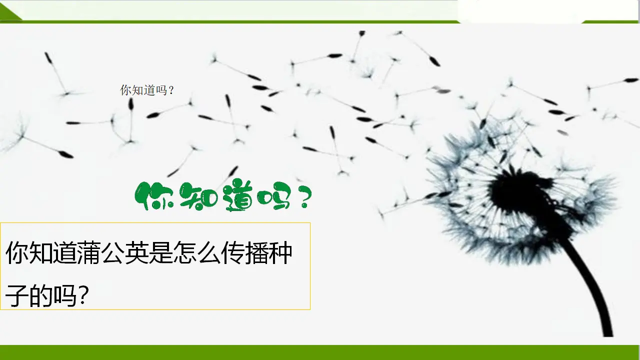 5风儿轻轻吹  第二课时（课件1）_03.webp