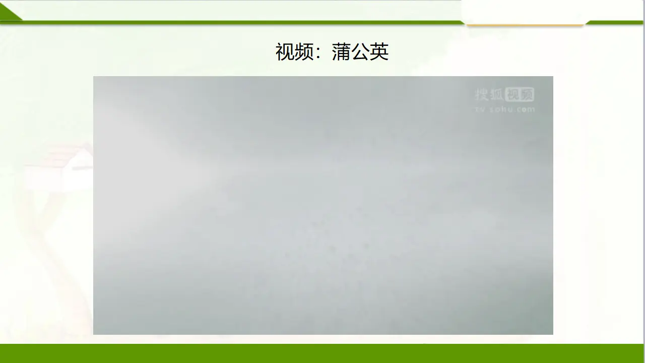 5风儿轻轻吹  第二课时（课件1）_04.webp