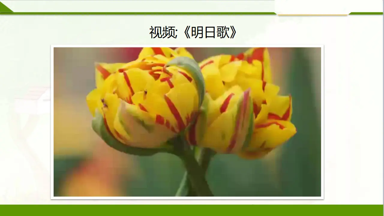 3我不拖拉  第二课时（课件1）_03.webp