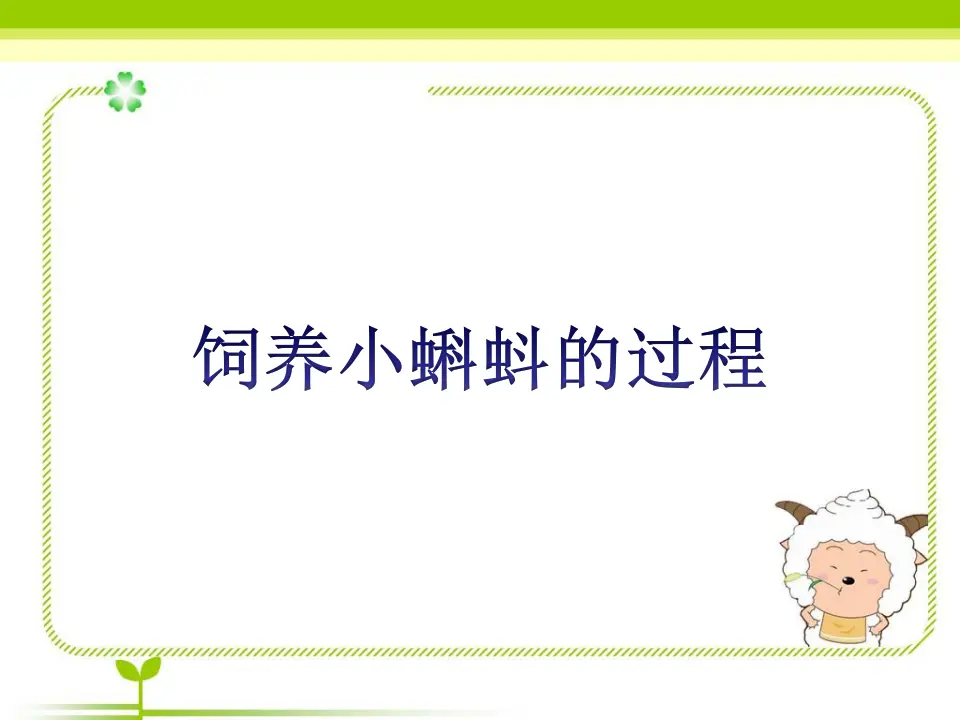 饲养小蝌蚪的过程（课件2）_01.webp