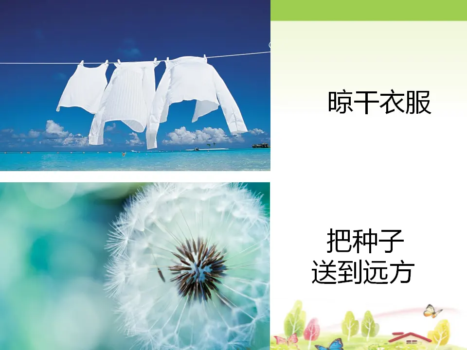 风带来的好处（课件2）_03.webp