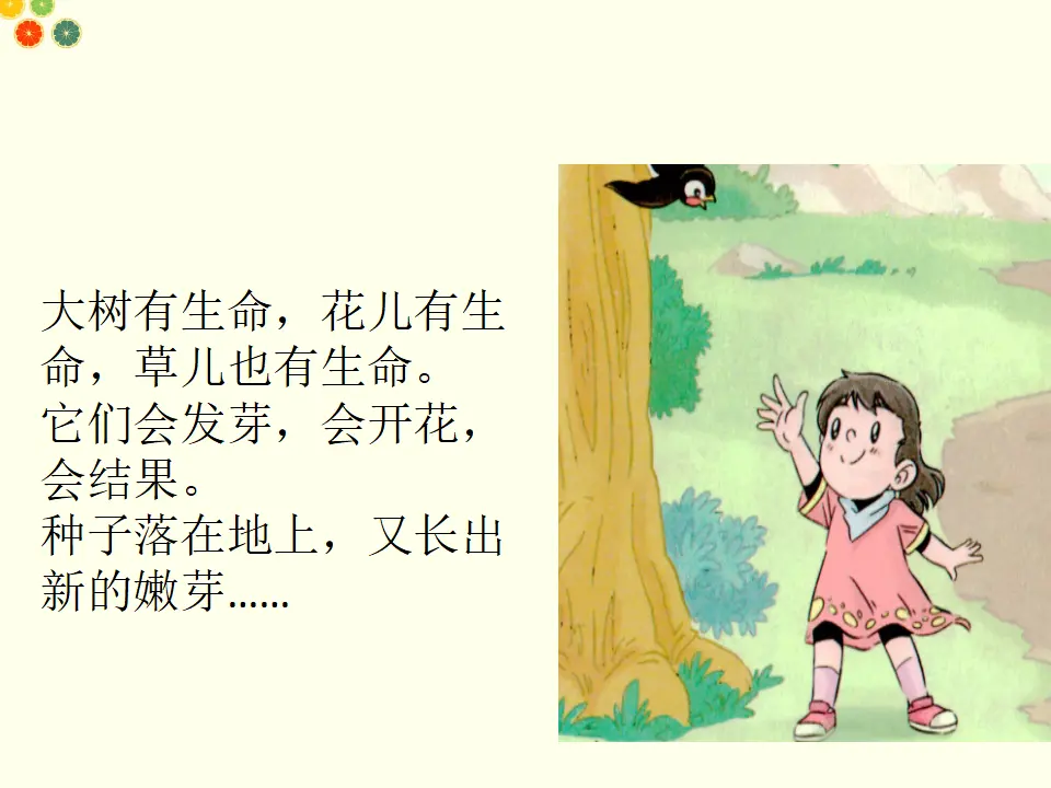 花儿草儿真美丽（课件2）_03.webp