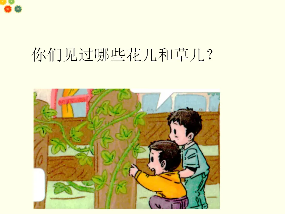 花儿草儿真美丽（课件2）_04.webp