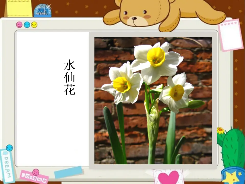 美丽的花儿（课件2）_02.webp