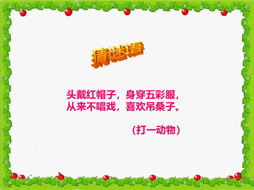 猜谜语鸡（课件2）_02.webp