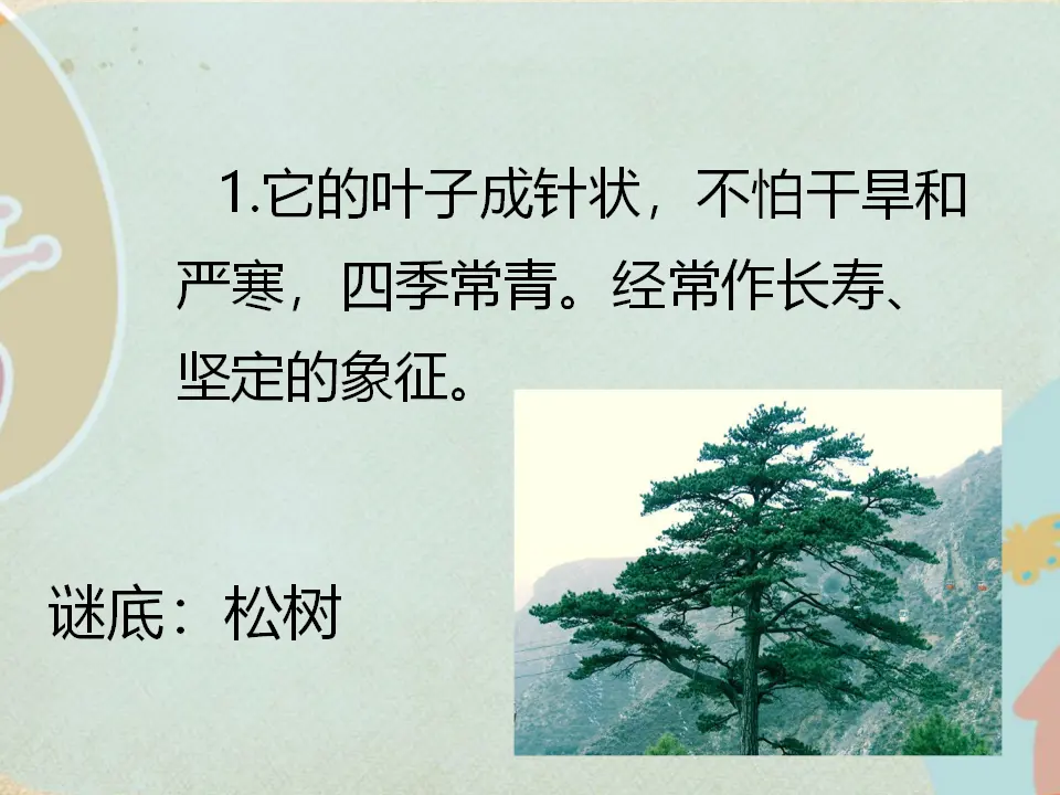 猜一猜是哪种植物呢？（课件2）_02.webp