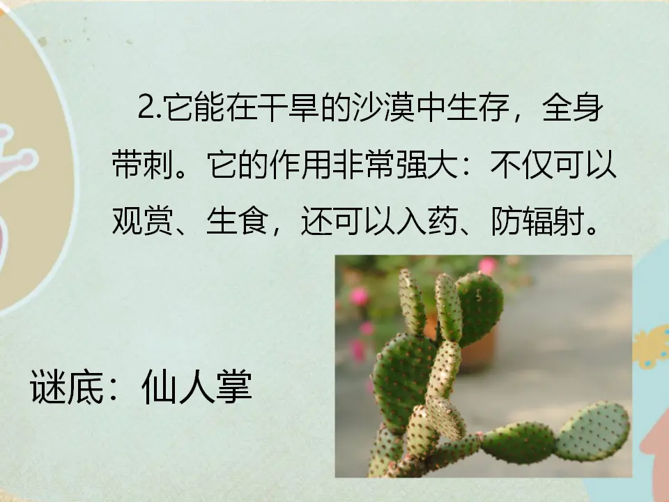 猜一猜是哪种植物呢？（课件2）_03.webp