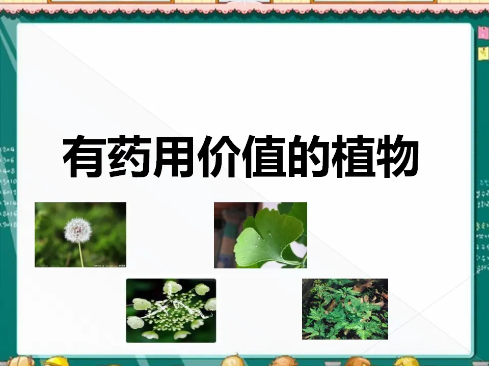 有药用价值的花草（课件2）_01.webp