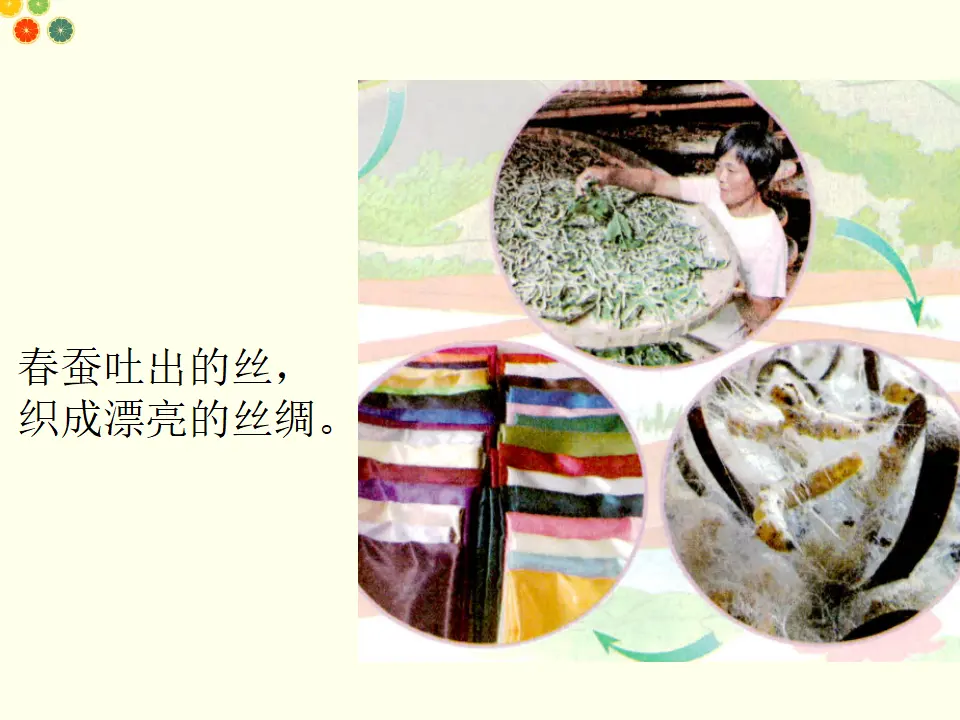 大自然，谢谢你（课件2）_03.webp