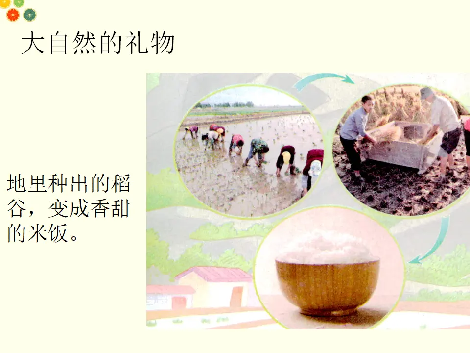 大自然，谢谢你（课件2）_02.webp
