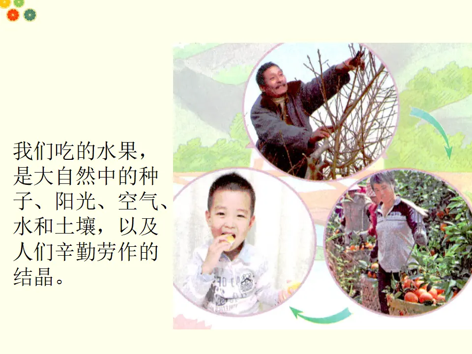 大自然，谢谢你（课件2）_05.webp