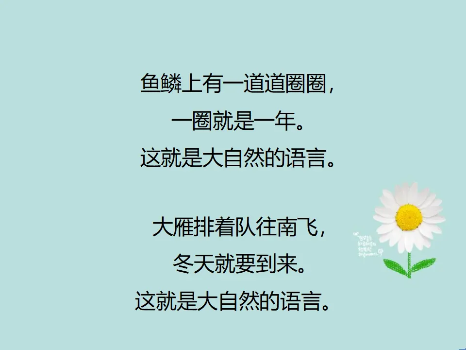 大自然的语言（课件2）_03.webp