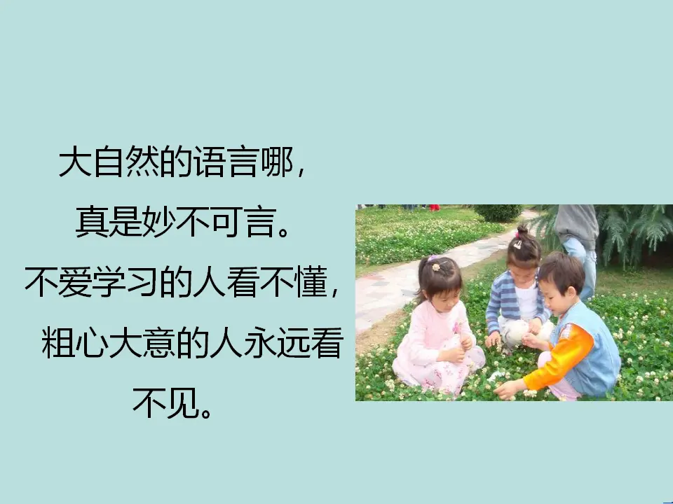 大自然的语言（课件2）_04.webp