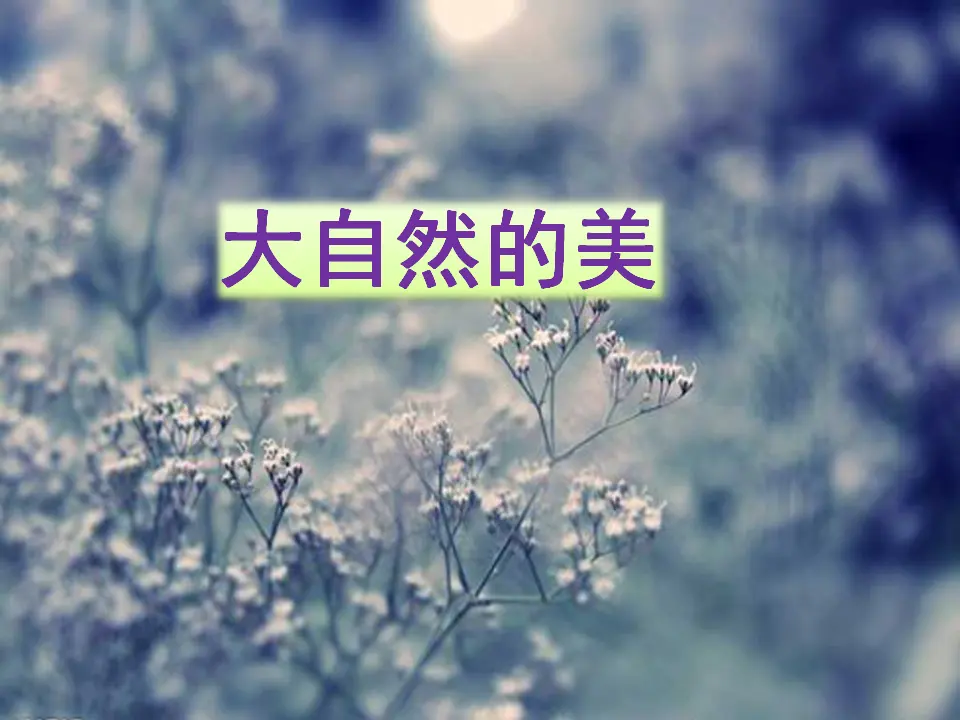 大自然的美（课件2）_01.webp