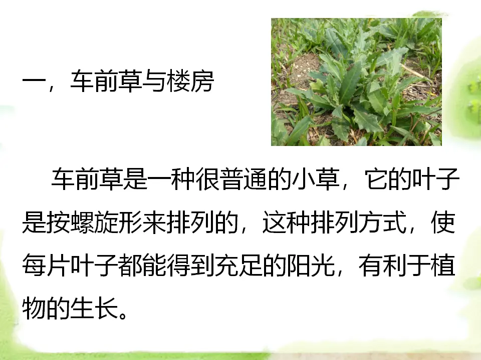 大自然是我们的老师（课件2）_02.webp