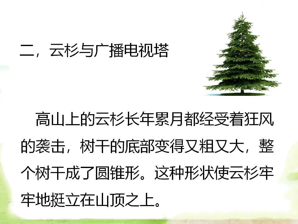 大自然是我们的老师（课件2）_04.webp