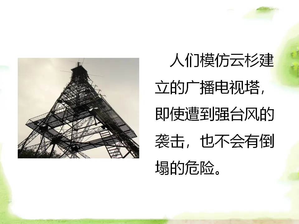 大自然是我们的老师（课件2）_05.webp