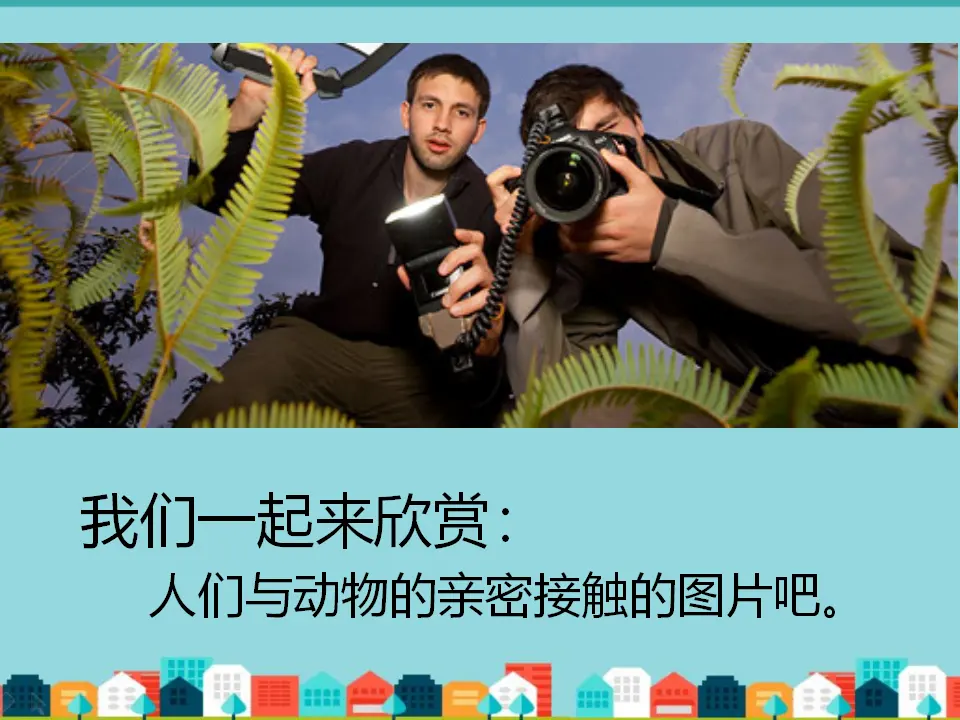 可爱的动物（课件2）_02.webp