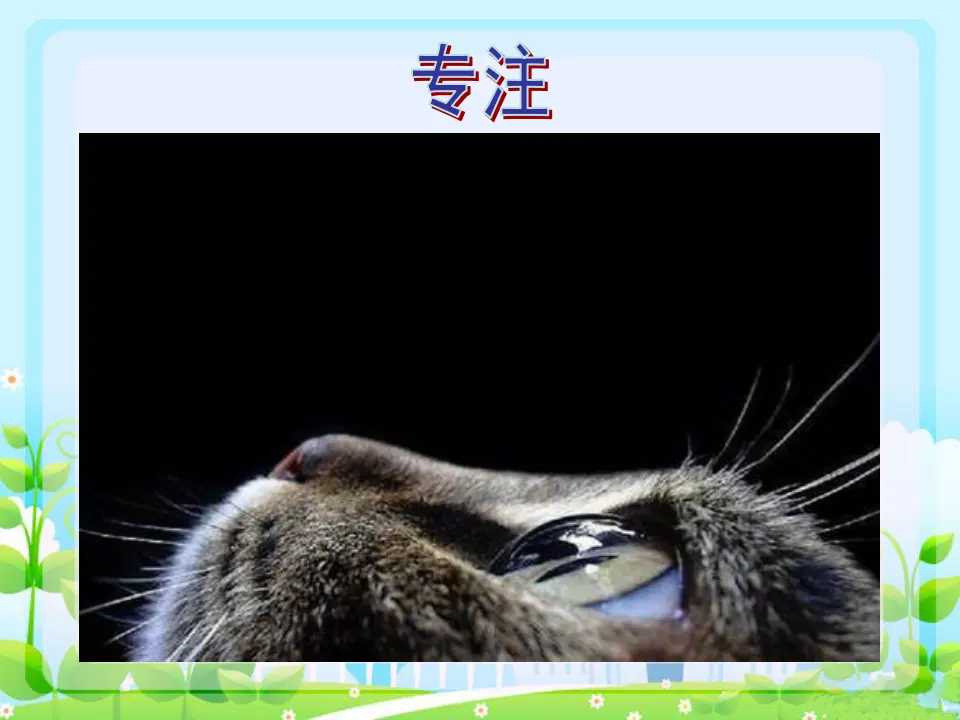 动物趣态（课件2）_02.webp