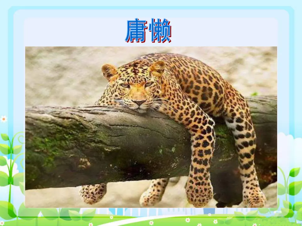 动物趣态（课件2）_03.webp