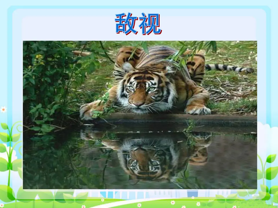 动物趣态（课件2）_04.webp
