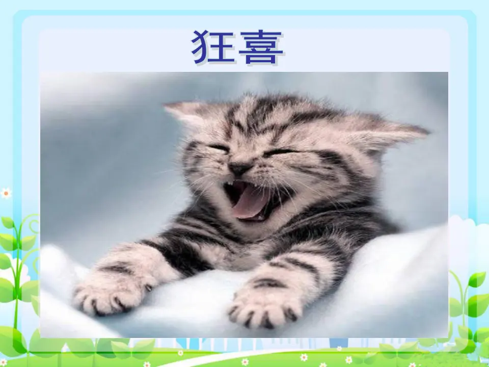 动物表情（课件2）_02.webp