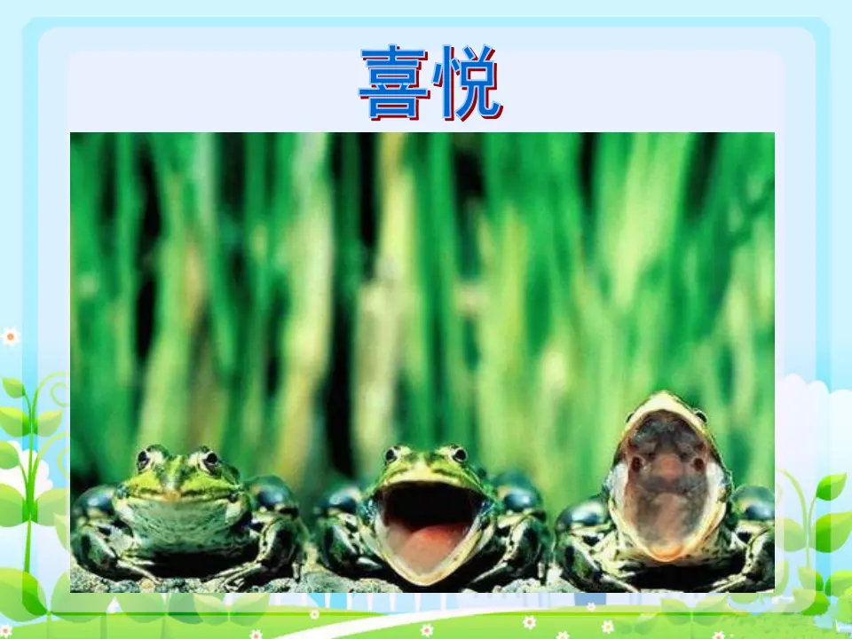 动物表情（课件2）_04.webp