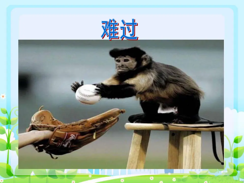动物表情（课件2）_03.webp